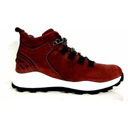 Gabor rot 5,5