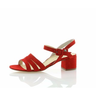 Paul Green 022 rot 3,5