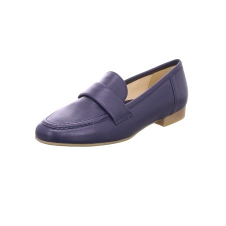 Ara Kent blau 4
