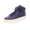 Ara Canberra blau 5,5