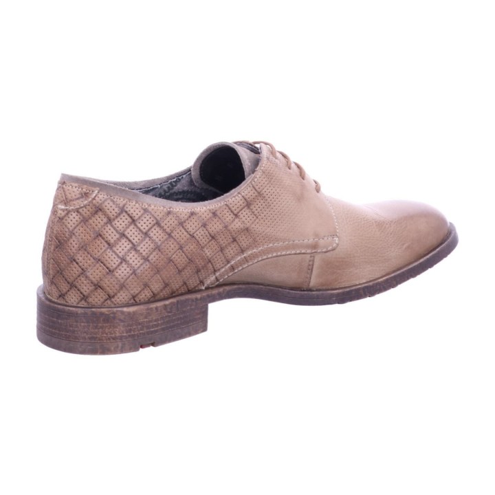 Lloyd GALWAY braun 7