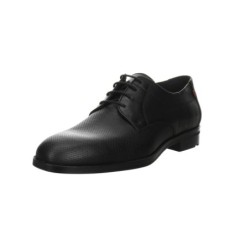 Lloyd schwarz 8,5