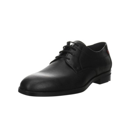 Lloyd schwarz 8,5