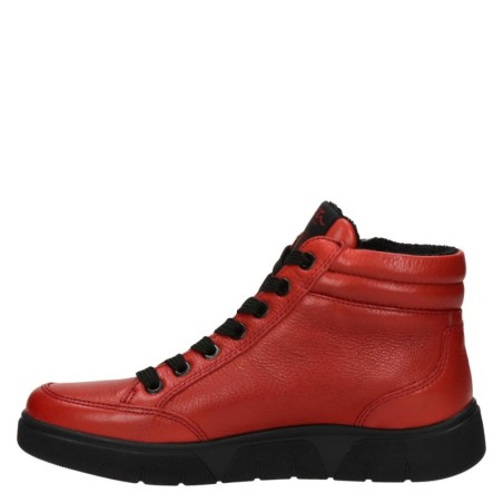 Ara rot 7,5