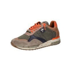 Cetti Sneaker Herren grün|grün|grün|grün|grün|grün