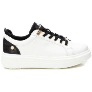 Xti  Sneaker 14097601
