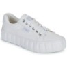 Le Temps des Cerises  Sneaker MALIBU