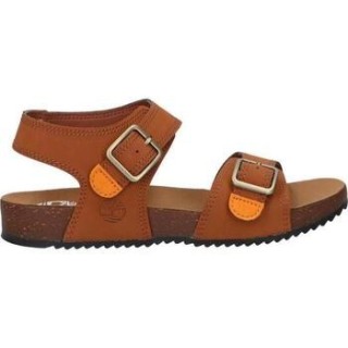 Timberland  Sandalen A427Q CASTLE ISLAND
