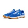 PUMA Hallenschuh »VARION II«