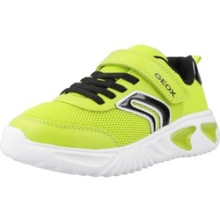 Geox  Sneaker J ASSISTER BOY