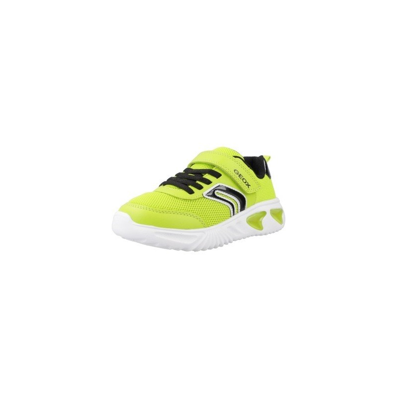Geox  Sneaker J ASSISTER BOY