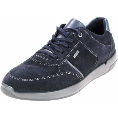 Ara blau 41