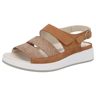 Solidus 75033 30671 - 298300078 5,5