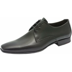 Lloyd schwarz 8