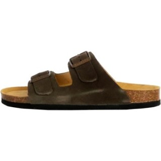 Plakton  Pantoffeln 232748