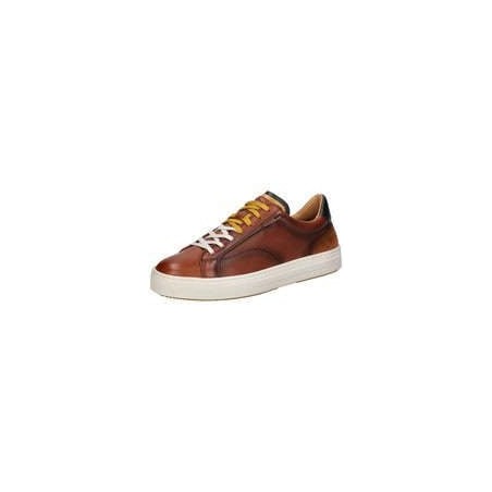 Ambitious Anopolis Sneaker Herren braun|braun|braun|braun|braun|braun|braun|braun