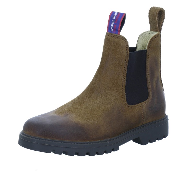 Blue Heeler Europe Fraser raw - 557-30-0048 41