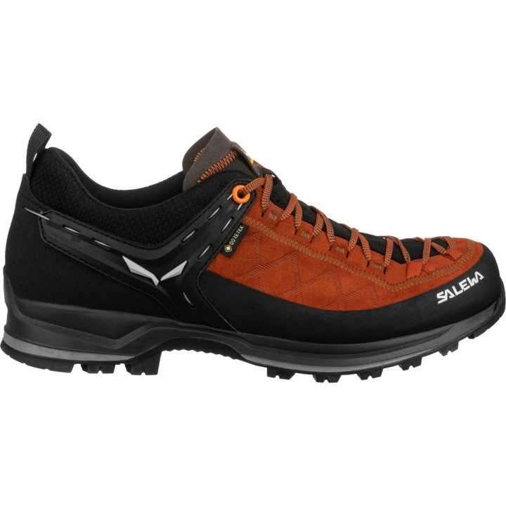Salewa Herren MTN Trainer 2 GTX Schuhe