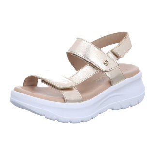 - Noor - 290-91-00006 38