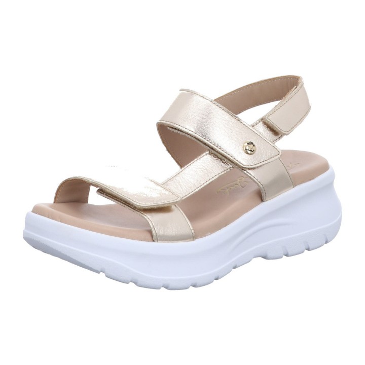 - Noor - 290-91-00006 38