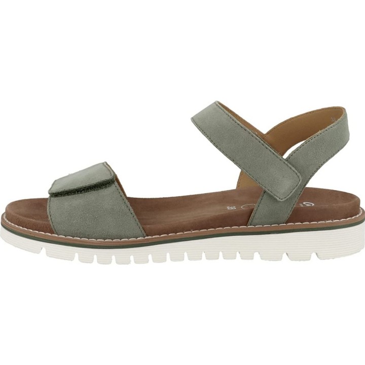 - Kent Thyme - 17-001-8-29-02 40