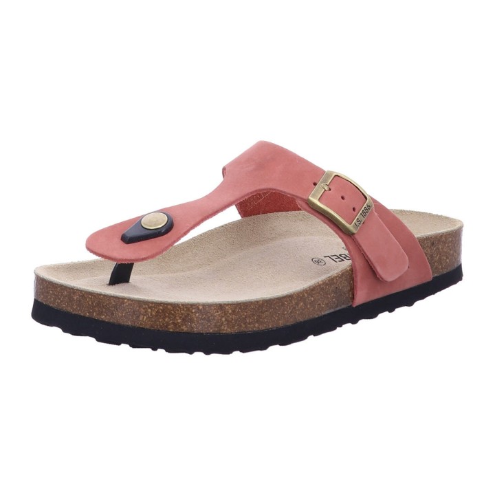 SEIBEL 6430210 480 - 289500011 37