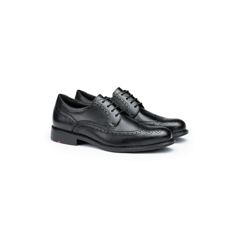 Lloyd 2462520 - 130000013 7,5