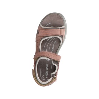 Rohde rose 37