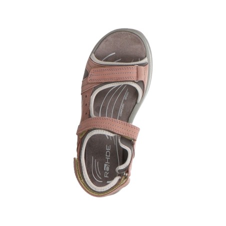 Rohde rose 37