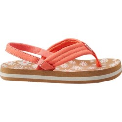 Reef Kinder Little Ahi