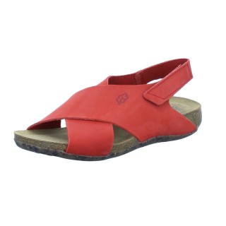 Loints of Holland b.v. Veenhof - 286-50-0083 40