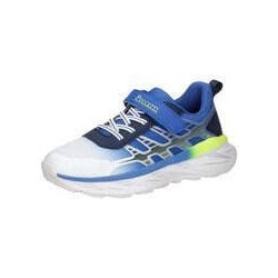 Puccetti Sneaker Jungen blau|blau|blau