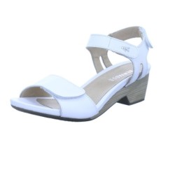 Benvado Rosy - 289-10-0005 40