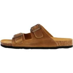 Plakton  Pantoffeln 250247