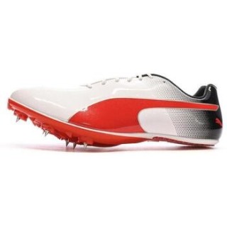 Puma  Herrenschuhe 377001-03