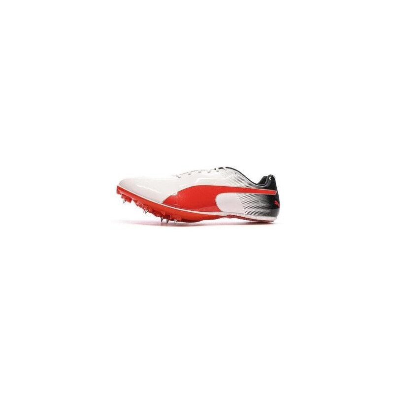 Puma  Herrenschuhe 377001-03