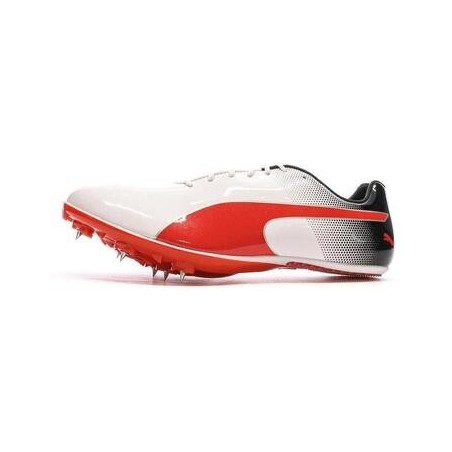Puma  Herrenschuhe 377001-03