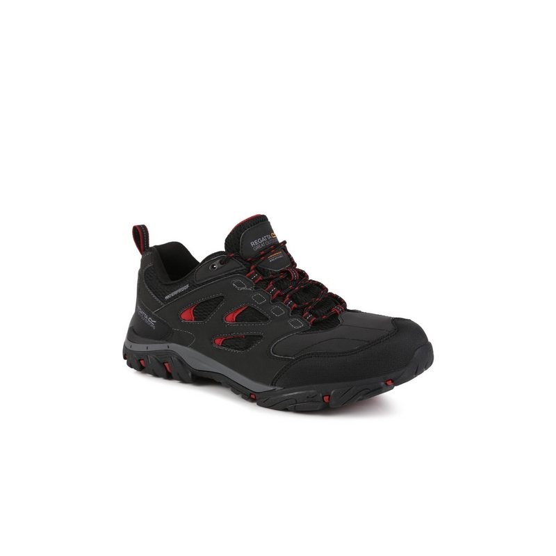 Regatta Regatta Trekkingschuhe Holcombe IEP Low RMF572 Grau Trekkingschuh