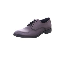 Lloyd OPAL 10