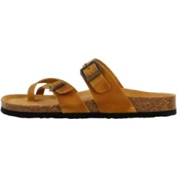 Plakton  Pantoffeln 250925