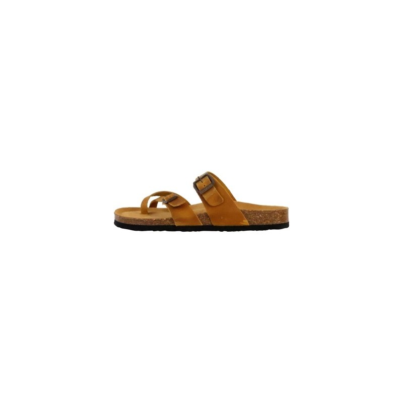Plakton  Pantoffeln 250925