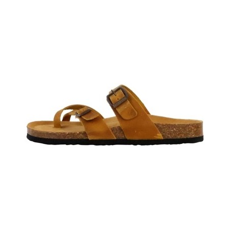 Plakton  Pantoffeln 250925