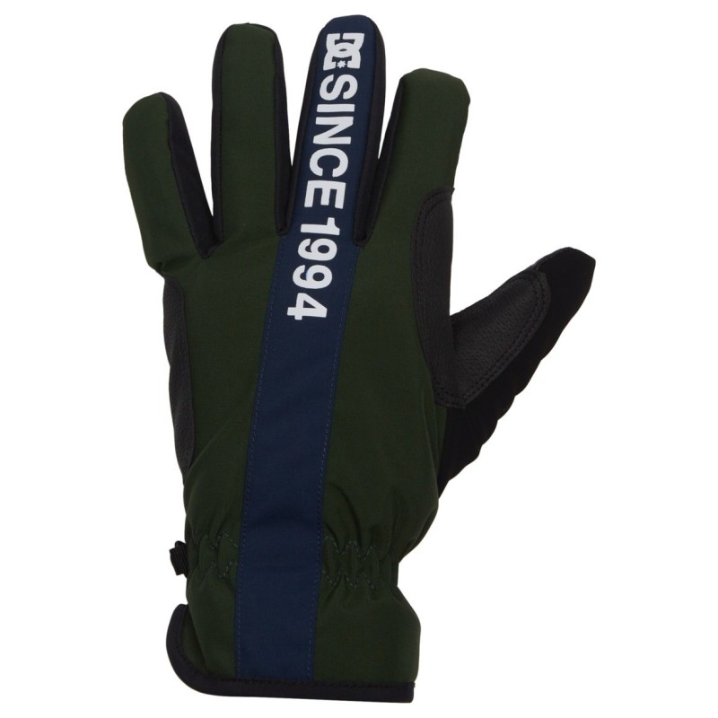 DC Shoes Snowboardhandschuhe »Salute«