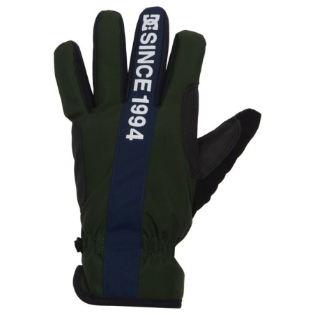 DC Shoes Snowboardhandschuhe »Salute«