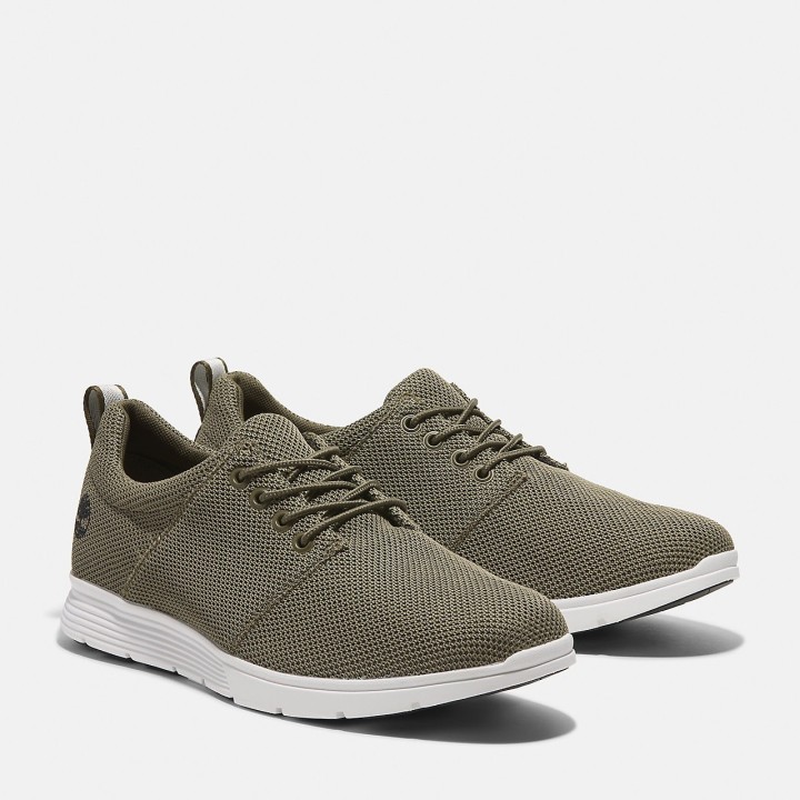 Timberland Sneaker "KILLINGTON LOW LACE UP SNEAKER"