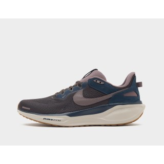 Nike Pegasus 41, Brown