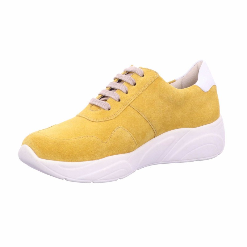 Solidus Kea 4