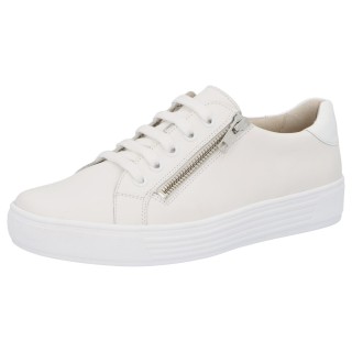 Solidus 37004 10066 - 238100221 9