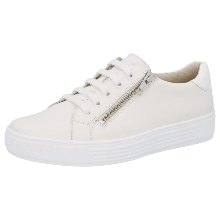 Solidus 37004 10066 - 238100221 9