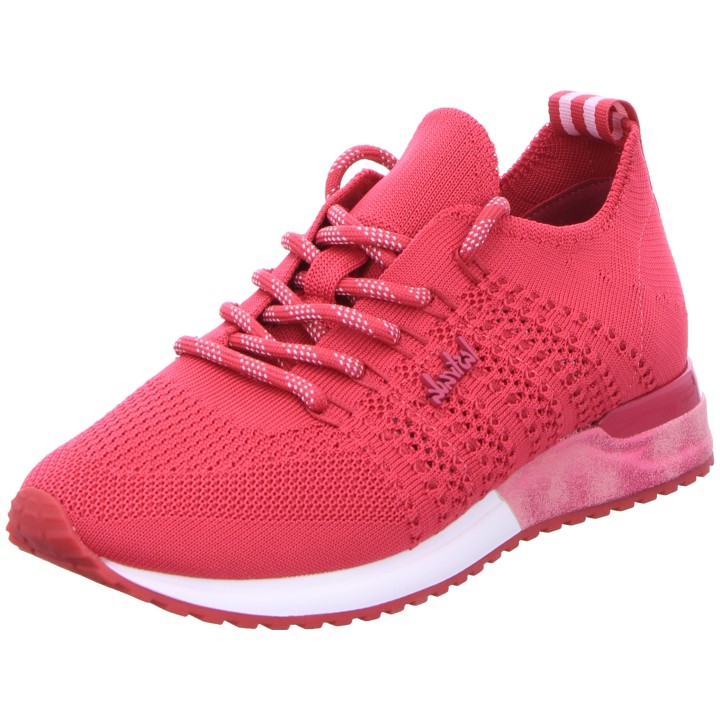 Edel Fashion rose 37